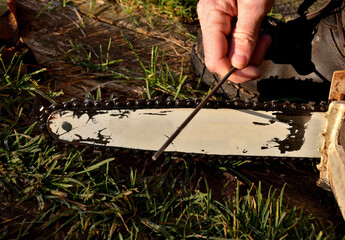 grinding the chainsaw chain with a round file at the right angle of the cutting and cutting teeth...