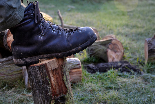 camping skills father with son. chopping wood log from willow in autumn. the father shows with an ax what can happen like cutting off an arm, fingers, foot. in the background wooden beehives with bee - Powered by Adobe