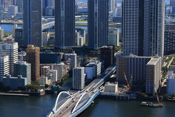 Obraz premium 隅田川に架かる築地大橋と林立する高層マンション群