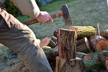 camping skills father with son. chopping wood log from willow in autumn. the father shows with an ax what can happen like cutting off an arm, fingers, foot. in the background wooden beehives with bee