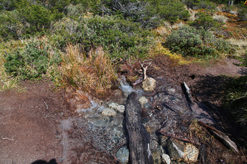 The river close Fitz Roy, El Chalten, Patagonia, Argentina