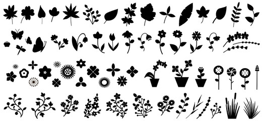 Plakat Flower vector. Flower icon. Flower decorative vector.Flowers set. Leaf vector. Leaf icon. Leaf decorative vector.