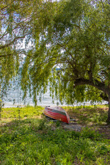 Idyllische Uferszene im Schatten der Bäume mit rotem Ruderboot auf der Insel Reichenau am Bodensee