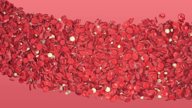 Blood Stream. Red and Wight Blood Cells. Erythrocytes, Lymphocytes and Thrombocytes inside artery.