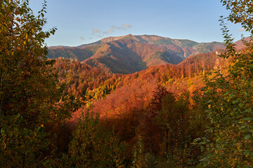 Colorful forests on the mountains