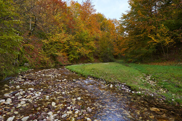 Colorful autumnal landscape of a river in the forest