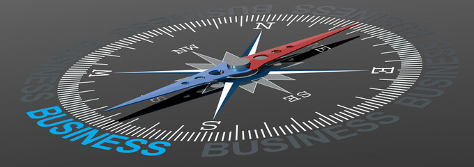 Business word on compass with blue and red needle © tang90246