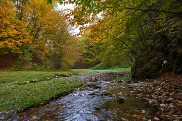 Colorful autumnal landscape of a river in the forest
