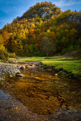 Fototapeta na wymiar Colorful autumnal landscape of a river in the forest