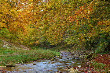 Obraz na płótnie Canvas Colorful autumnal landscape of a river in the forest