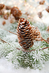 pine cones on snow - christmas card