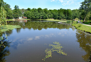 Fototapeta na wymiar View of Tortilin pond in the city park. Zelenogradsk, Kaliningrad region