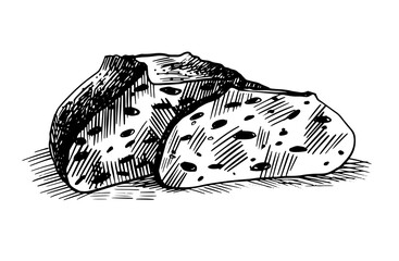 Vector hand drawn illustration set of different breads wheat germ, long loaf, pan loaf sliced , baguette and boule. Black and white, isolated on white.