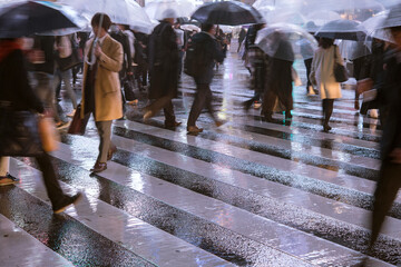 Business people crossing street on rainy night, Tokyo, Japan　雨の夜 交差点を行き交うビジネスマン 東京