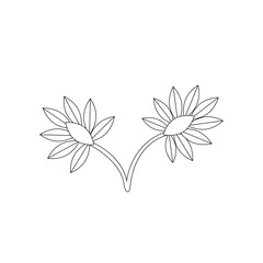 Colorful black and white pattern for coloring. Daisy flower illustration.