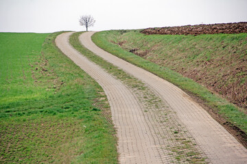 Feldweg aus Betonverbundsteinen