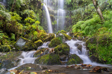 Beautiful waterfall on the levada on Madeira island.