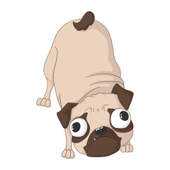 Cute pug dog fool around. Vector illustration in hand drawn cartoons style. Isolated on white background. Best for t-shirt, card, print design.