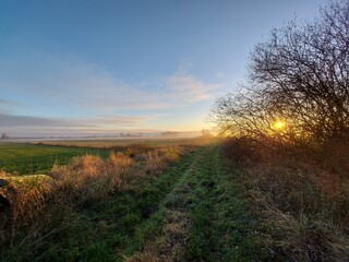 Rohr im Dr&ouml;mling
