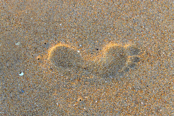 Foot step on beach sand.