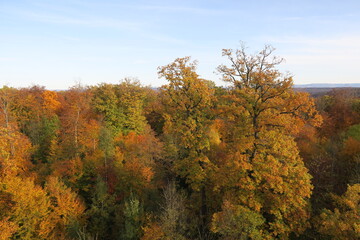 Naklejka premium Aussicht vom Kernenturm auf dem Berg Kernen in Fellbach auf herbstliche Laubbäume
