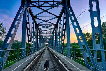 
bridge, steel, road, sky, architecture, structure, metal, railroad, river, blue, city, transport, travel, iron, old, transport, construction, highway, urban, railroad, water, skyline, industrial, tra