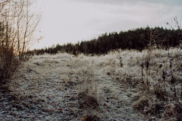 Novembertag