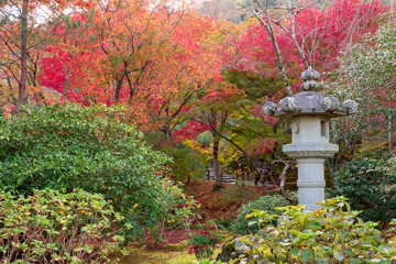 美しい京都の紅葉風景