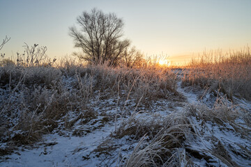 Breath of winter, first ice on the lake, dawn on a frosty morning with frost on the grass, close-up of frost, patterns on the first ice.