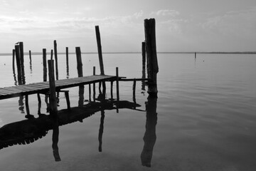 pali di legno sul lago, wooden poles on the lake 