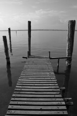 Fototapeta premium pali di legno sul lago, wooden poles on the lake 