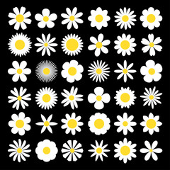 White chamomile silhouette shape icon. Camomile daisy set. Decoration element. Cute round flower plant nature collection. Love symbol. Growing concept. Flat design. Isolated. Black background.