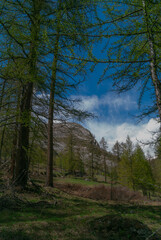 Obraz premium SONY DSC