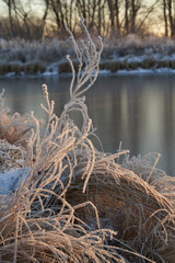 Breath of winter, first ice on the lake, dawn on a frosty morning with frost on the grass, close-up of frost, patterns on the first ice.
