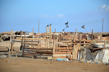 Bedouin village near Sharm El Sheikh. Tourist place.  Sharm El Sheikh, Egypt