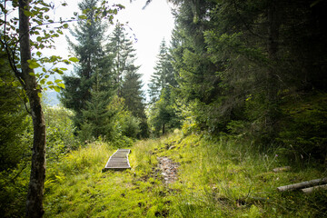 Hiking Trail Austria Tyrol Path