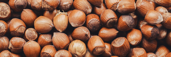 Hazelnuts. Food background, wallpaper. Stack of hazelnuts. Web banner for your design.