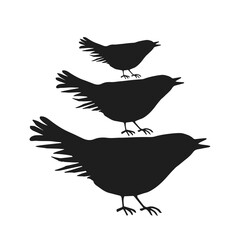 Digital silhouettes of birds. Bird vector illustration. Element for cricut.