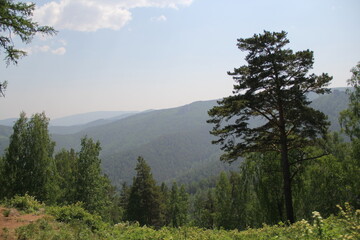 Fototapeta premium beautiful Krasnoyarsk mountains pillars in the forest