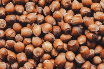 Hazelnuts. Food background, wallpaper. Stack of hazelnuts.