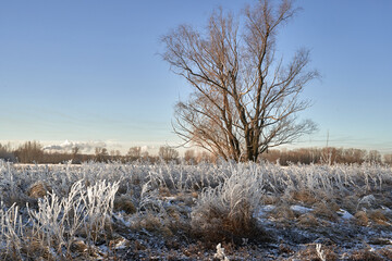 Breath of winter, first ice on the lake, dawn on a frosty morning with frost on the grass, close-up of frost, patterns on the first ice.