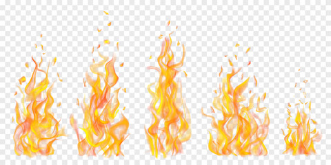 Set of translucent burning campfires of flames and sparks on transparent background. For used on light illustrations. Transparency only in vector format © Olga Moonlight
