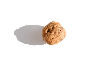 one walnut with shadow isolated on white background, vegetarian food concept