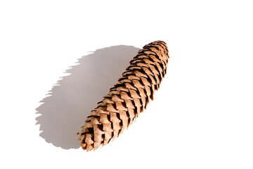 one ripe brown spruce cone with shadow isolated on white background, concept natural. seasonal, merry christmas