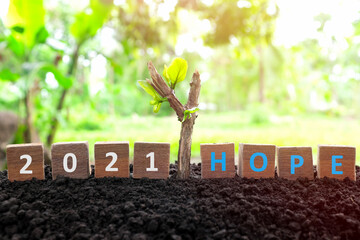 New year 2021 is hope concept in wooden blocks with natural background and a dry branch with a...