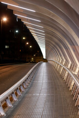 Bridge at night in Bilbao