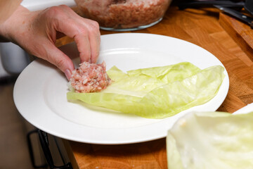 hand prepares cabbage rolls, cabbage leaf, minced meat