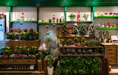 Retail display of floristic stall with mini Christmas trees and fresh plants in flower pots. Christmas sale of floral arrangements