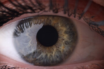 Human eye with cornea and pupil closeup
