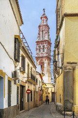 Fototapeta na wymiar St. John The Baptist Church Bell Tower, Ecija, Spain